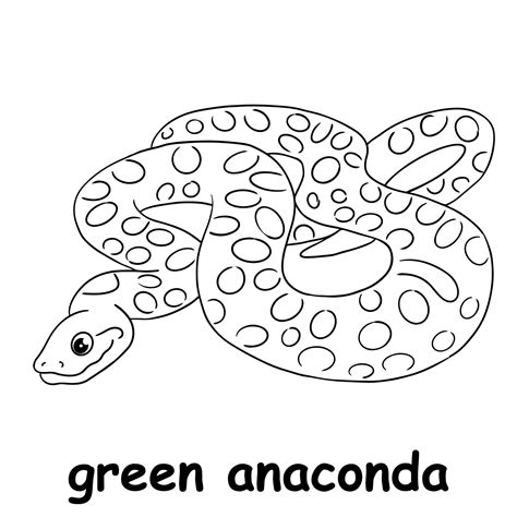 Illustration De Ligne Pour Enfants Colorier Anaconda Vert Vecteur De