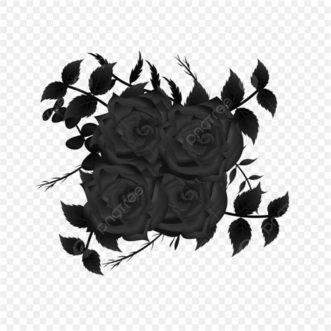 Background Black Rose Flower Png Hd