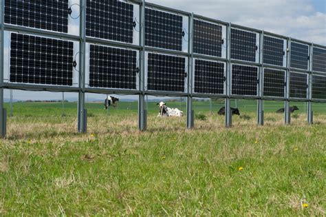 Agrivolta Sme Linrae Et Engie Vont Tester Les Haies Solaires Bifaciales