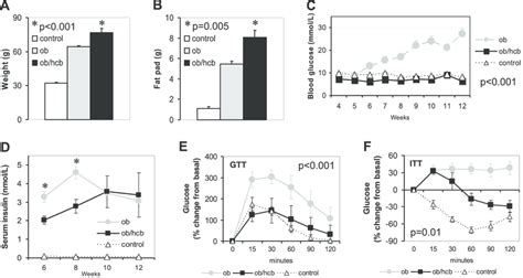 Adiposity And Glucose Homeostasis In Double Mutant Congenic Btbr Ob Hcb