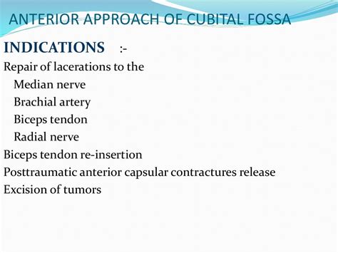 Surgical Approaches To The Elbow