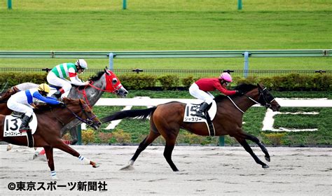 東スポ 写真部 On Twitter 2022年10月22日 競馬 レース 6r メイクデビュー東京 （ 2歳新馬 ） 1着15番