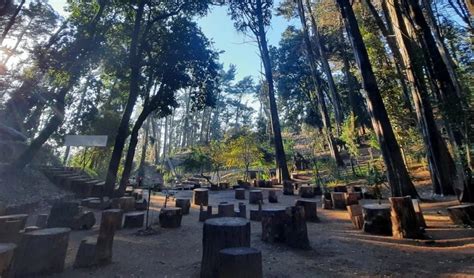 No Te Pierdas Las Actividades Que El Parque Cerro Caracol Tiene Para