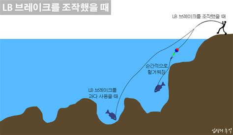 릴 찌낚시 기초8 드랙 릴과 Lb릴 사용의 기준 네이버 블로그