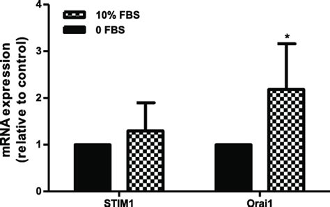 Stromal Interaction Molecule STIM 1 And Orai1 MRNA Expression Levels