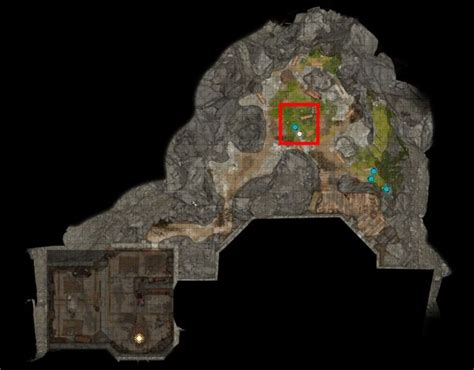 How To Get Shovel The Quasit Summon In Bg3 Baldurs Gate 3