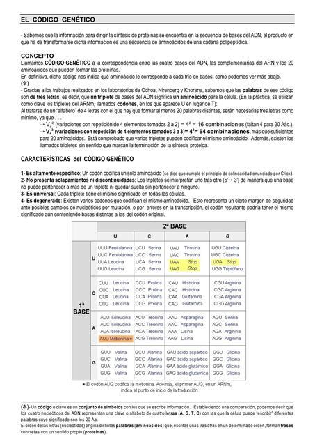 El Código Genético Linda Angeles Udocz