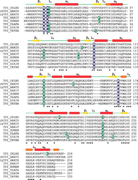 High Resolution Crystal Structure And Redox Properties Of Chloroplastic