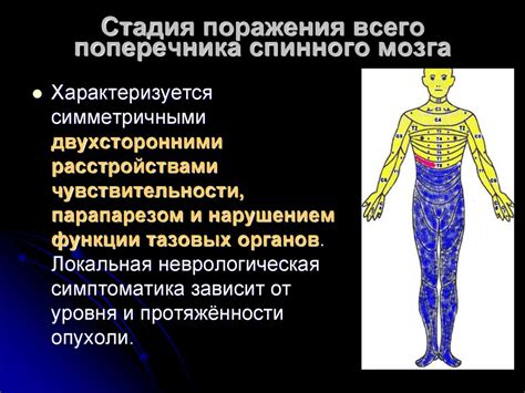 Опухоли спинного мозга - online presentation