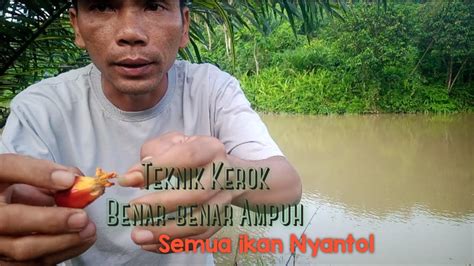 Teknik Mancing Ikan Nila Ampuh Yang Jarang Diketahui YouTube