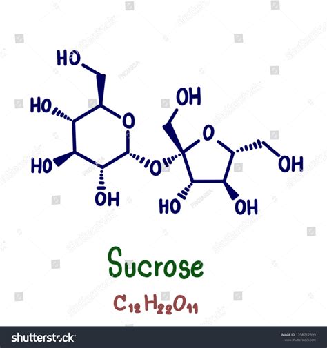 Disaccharide Molecule Structure