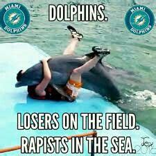 Miami Dolphins Memes - Funny PNG