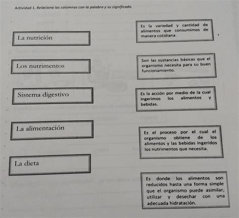 Actividad Relaciona Las Columnas Con La Palabra Y Su Significado Es