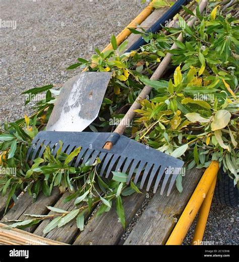 Gardening tools rake Stock Photo - Alamy