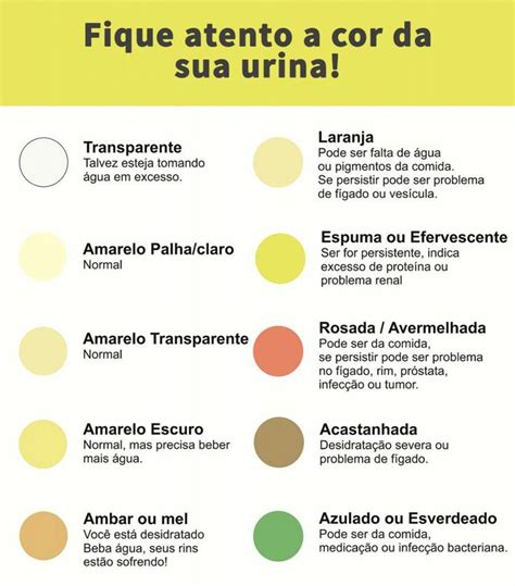 Cor da urina Cor da urina Urina Nutrição e dietética