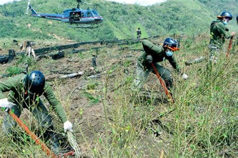 Mininter erradica casi 4 000 hectáreas de cultivos ilegales de hoja de