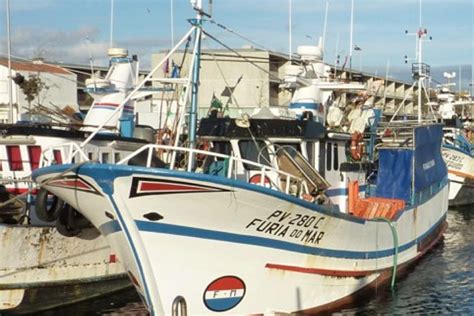 Viana Do Castelo Comemora O Dia Do Pescador V Rias Iniciativas