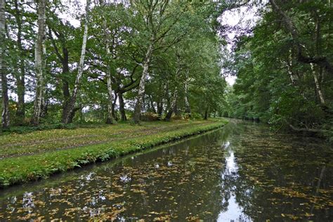 Trent And Mersey Canal West Of Fradley Roger D Kidd Geograph