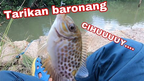 TARGET MANCING IKAN KIPER MALAH KETEMU SPOT BARONANG YouTube