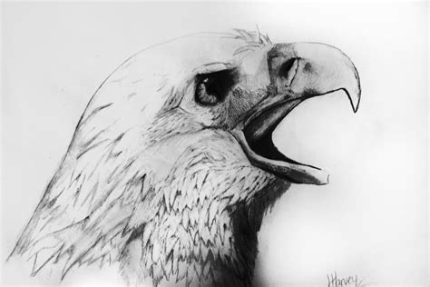 40 Beautiful and Realistic Animal Sketches For Your Inspiration