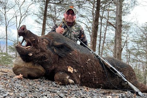 Hogs Mountain Meadow Hunting Preserve