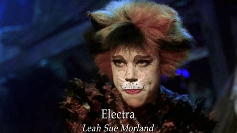 Michaels Tribute To Cats Bytesend