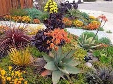 36 Beautiful Cactus Landscaping Ideas For Your Front Yards Decor