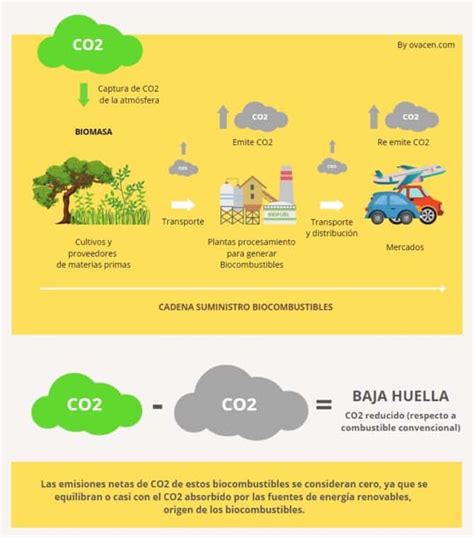 Biocombustibles Qu Son C Mo Se Obtiene Y Ventajas Ovacen