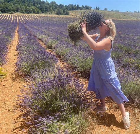 2024 Provence Lavender Tours - France Off the Beaten Path