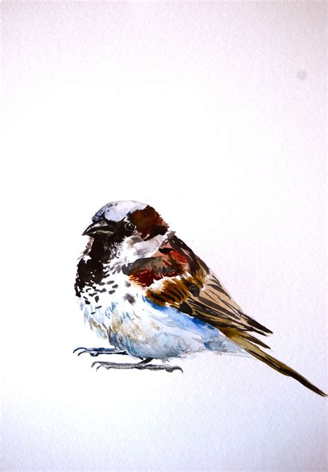 Watercolor Painting Sparrow Bird Art Original Painting