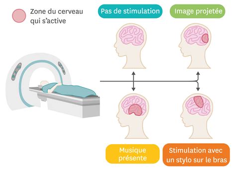 Lirm Permet De Visualiser Les Zones Dactivation Du Cerveau