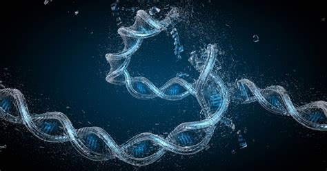 Crispr Editing Is All About Dna Repair Mechanisms