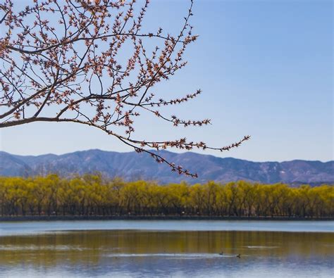 Lake Kunming Summer Palace - Free photo on Pixabay - Pixabay