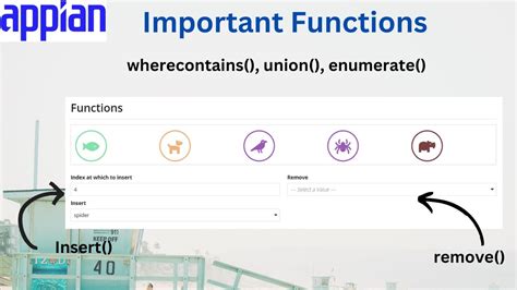 Important Appian Functions Wherecontains Remove Insert