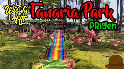 Wisata Hit Tanaria Park Prigen YouTube