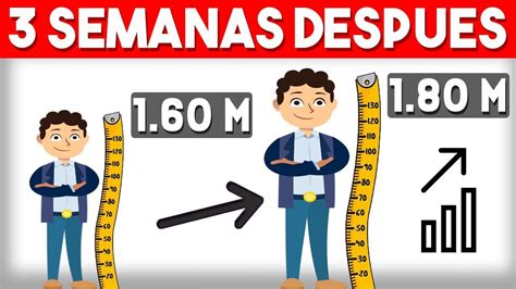 5 Ejercicios Para Crecer De Estatura Fácil Y Rápido Ejercicios De Es Ejercicio Para