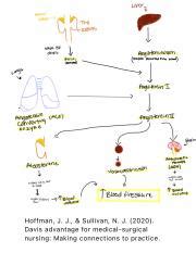 Making Connections To Practice In Medical Surgical Nursing Course Hero