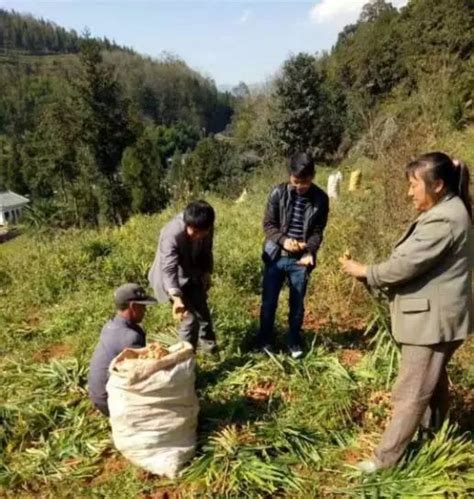 【蹲点调研在一线 · 盘州脱贫“摘帽”进行时】“九零”后小青年，搭建电商平台带富乡邻