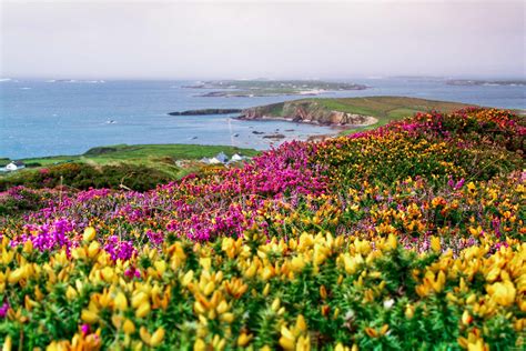 Amazing Ireland Tour 2025 Flexible Bookings Trafalgar Us