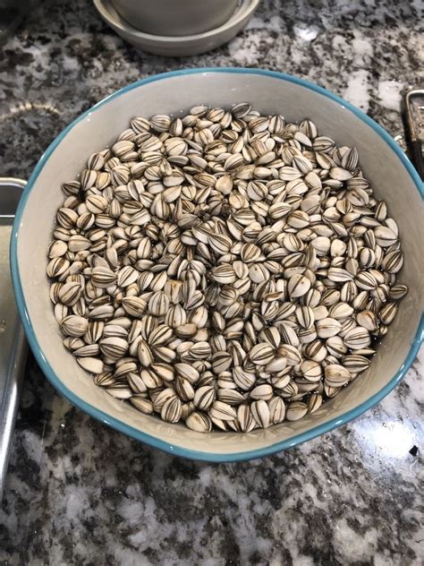 How To Harvest And Roast Sunflower Seeds Artofit