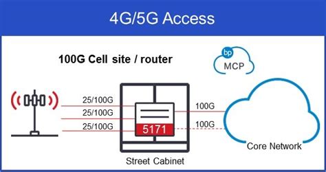 Extending The 100g Edge Ciena