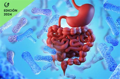 Curso práctico Nutrición microbiota intestinal y uso de probióticos