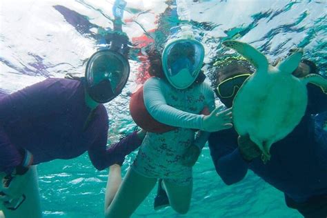 Stingray City Snorkeling At Coral Gardens Or Barrier Reef Grand Cayman