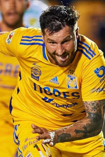 André Pierre Gignac Sorprende A Miguel Herrera Con Una Gran Noticia En Tigres Uanl Strikers Cracks