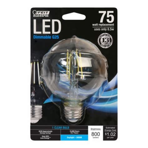 Feit Electric G25 E26 Medium Filament Led Bulb Daylight 75 Watt Equivalence 1 Pk Total Case