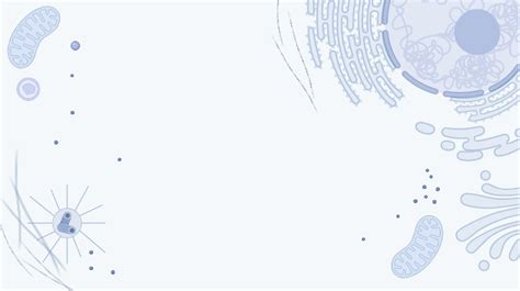 Virtual Background - Inside a Cell | BioRender Science Templates