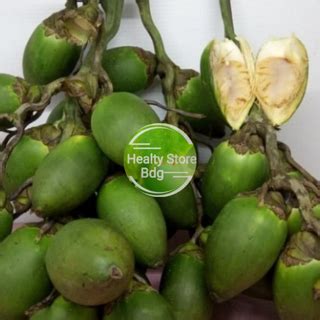 Jual Buah Jambe Atau Pinang Muda Segar 500 Gram Shopee Indonesia