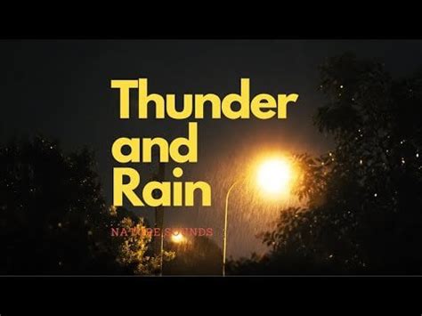 3 hours of Thunder and rain sounds for reading , Sleeping and studying ...