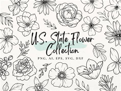 Us State Flower Svg Bundle Flower Stencil Flower Tattoo Design