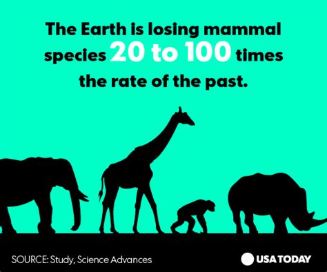 6th Mass Extinction Jarring Stats On Wildlife Today